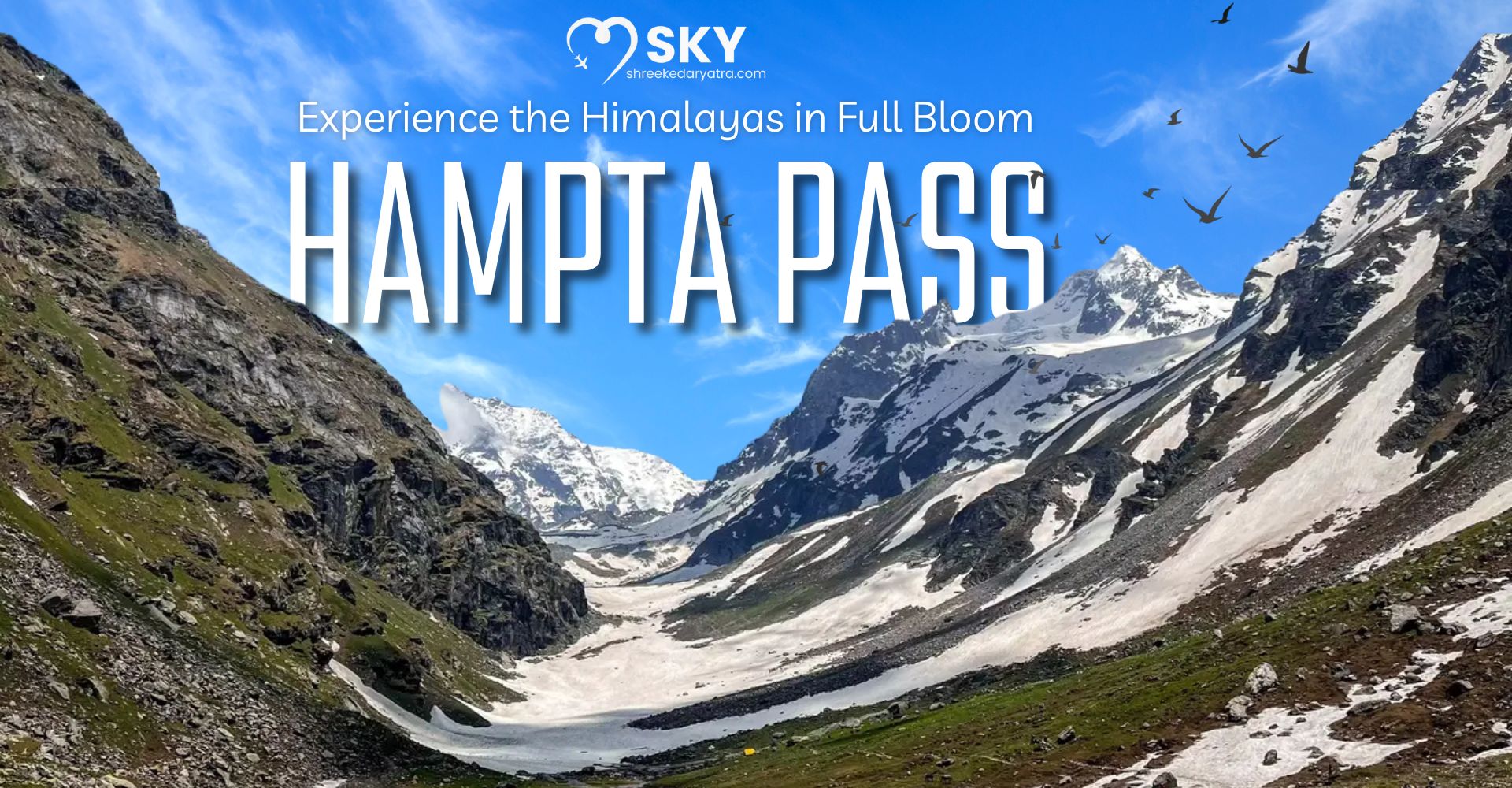 Hampta Pass Trek is Calling: Experience the Himalayas in Full Bloom